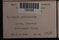 Image Associated With the Occurence